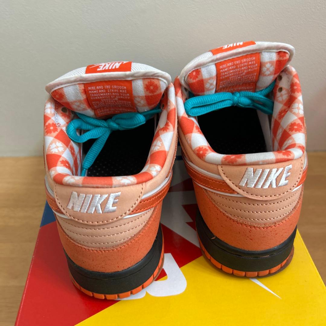 スケートボード Concepts Nike SB Dunk Low Orange Lobster
