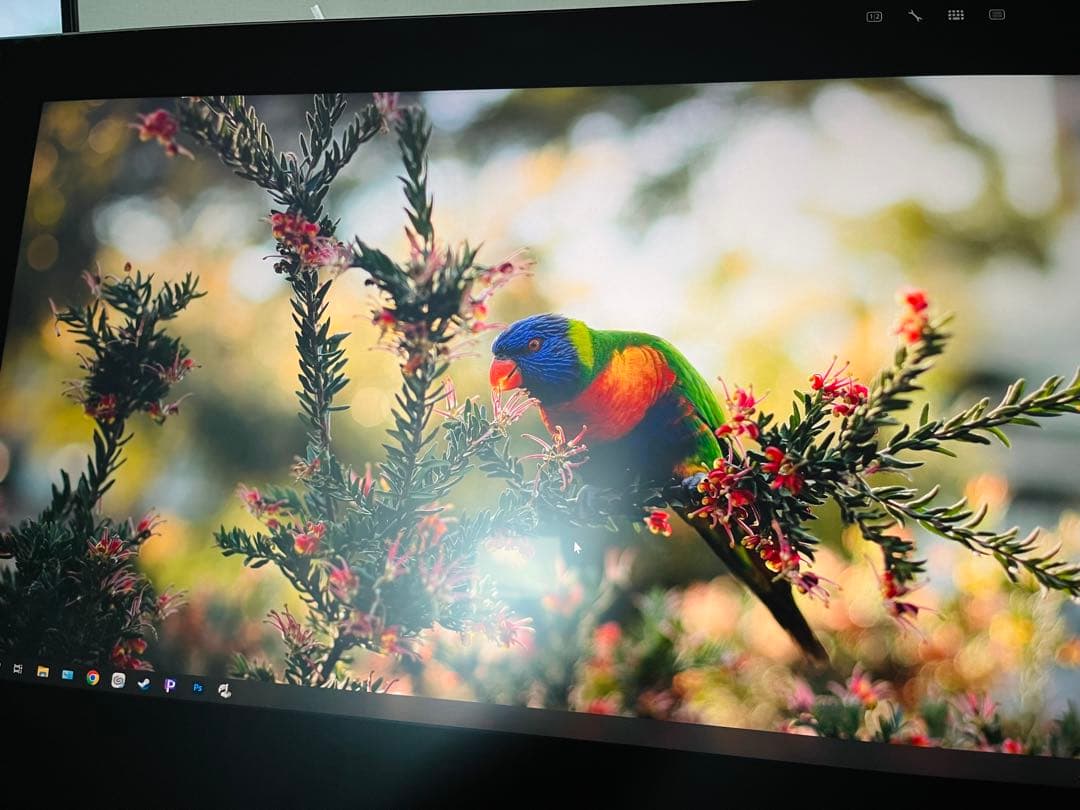 Wacom cintiq pro 24本体＋Wacom flex arm