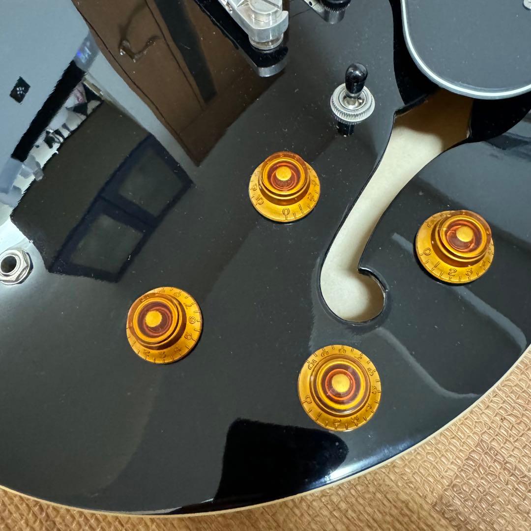 Epiphone エピフォン Dot EB 純正ソフトケース付き