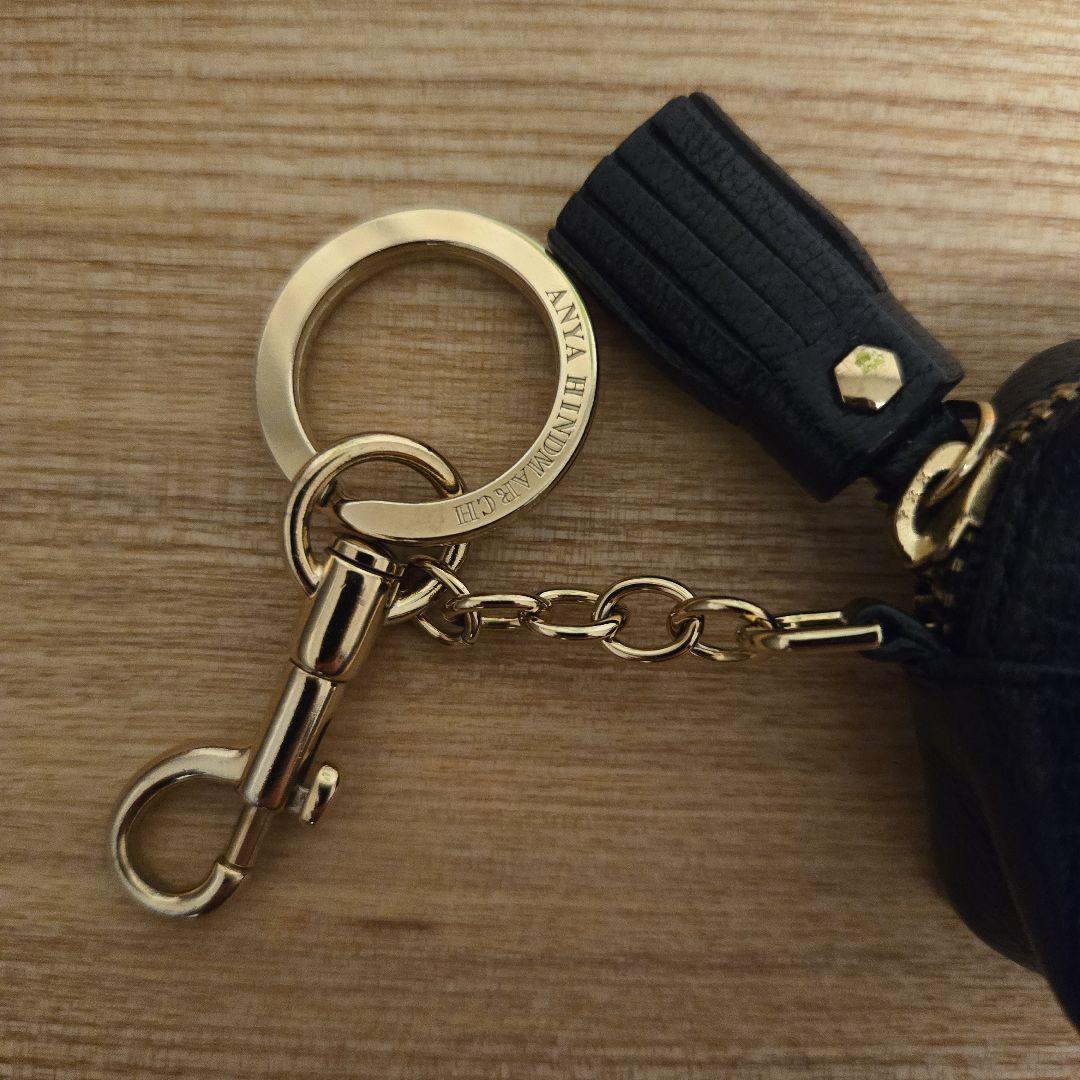 アニヤ・ハインドマーチ アイズ ケース