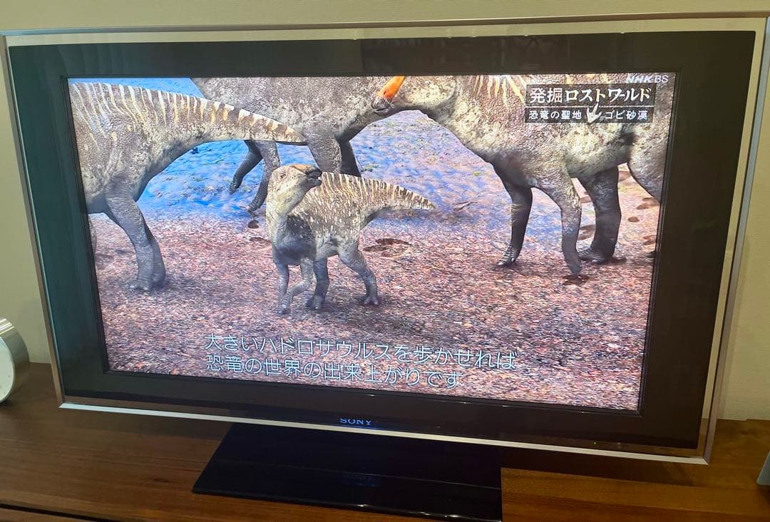 送料無料 SONY 40V液晶ブラビア KDL-40X5050 2007年モデル