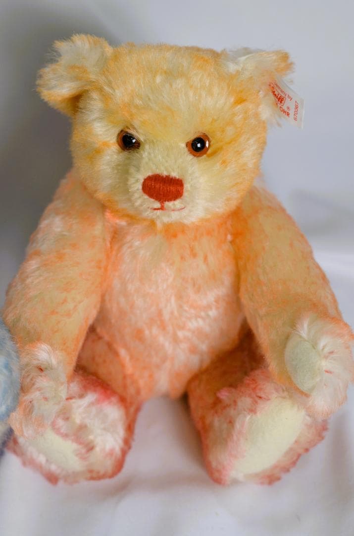 シュタイフ テディベア 「ハロー2000／グッバイ1999」 ベアセット