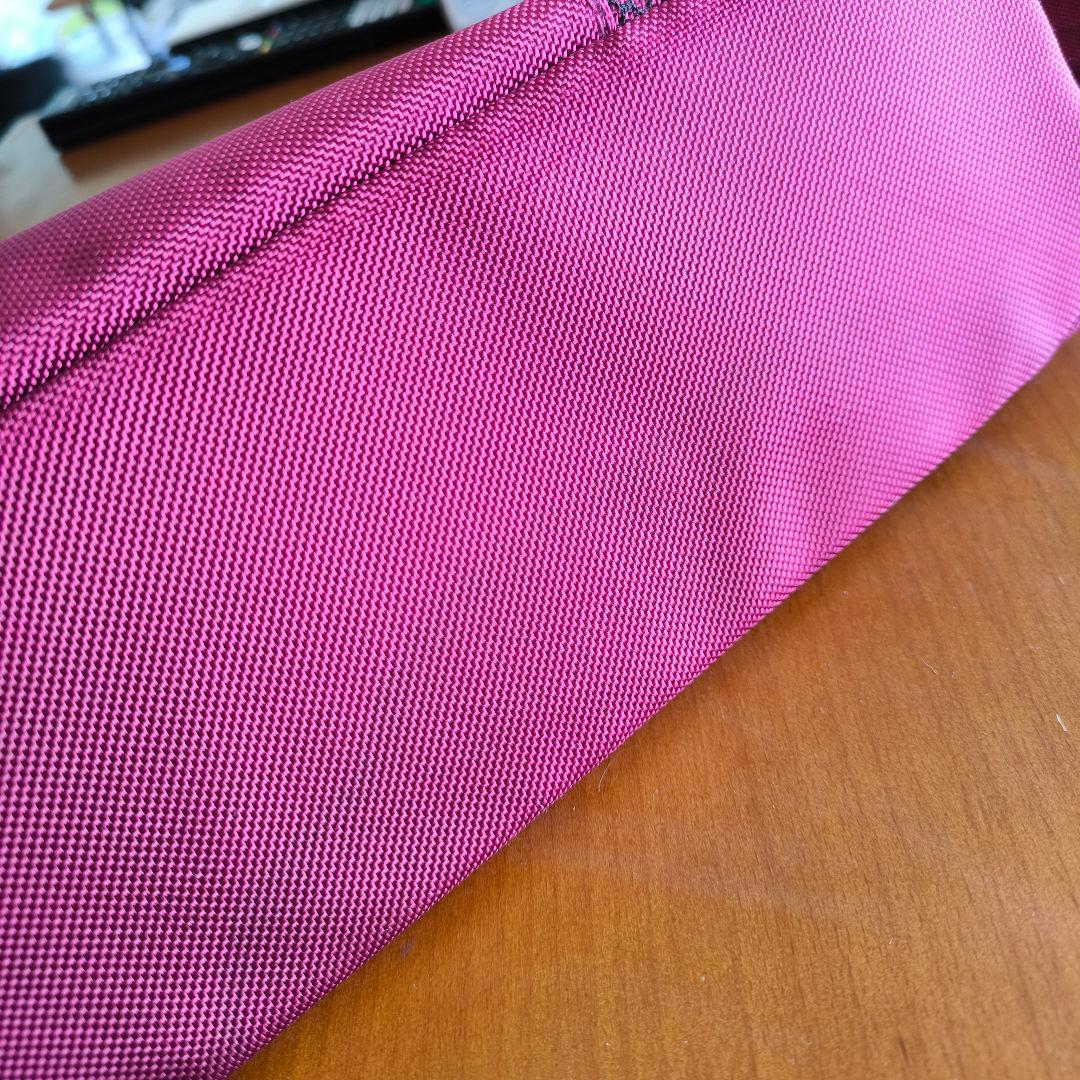 ピッコロカーネ タント2 ペットカート バギー キャリー 中古