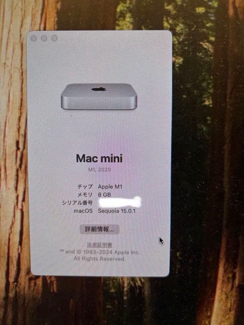 Apple Mac mini M1　8GB 256GB