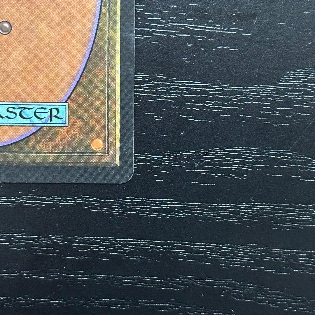 MTG セラの聖域 英語