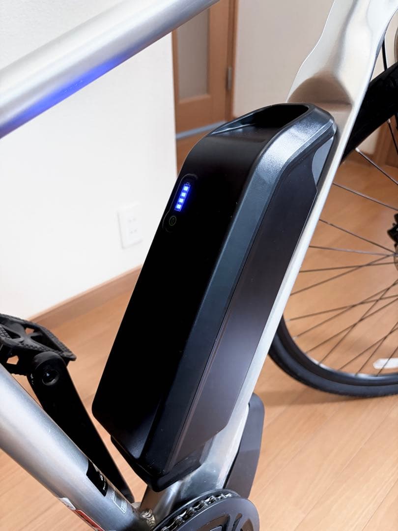 【奈良ラガーマン】MIYATA ミヤタ EX-CROSS e