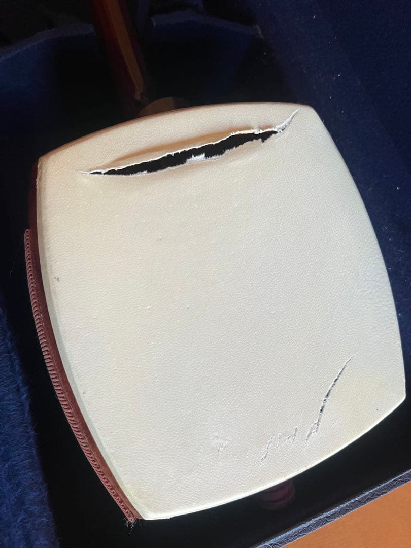 三味線本体、ハードケース、先べっ甲撥