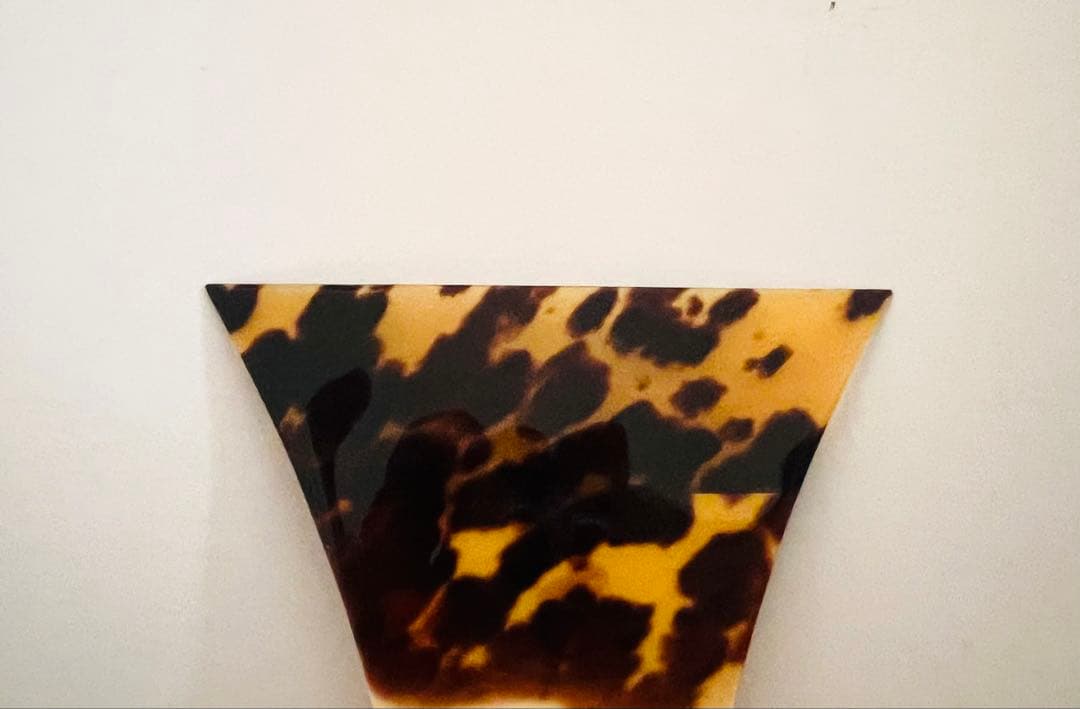 三味線本体、ハードケース、先べっ甲撥