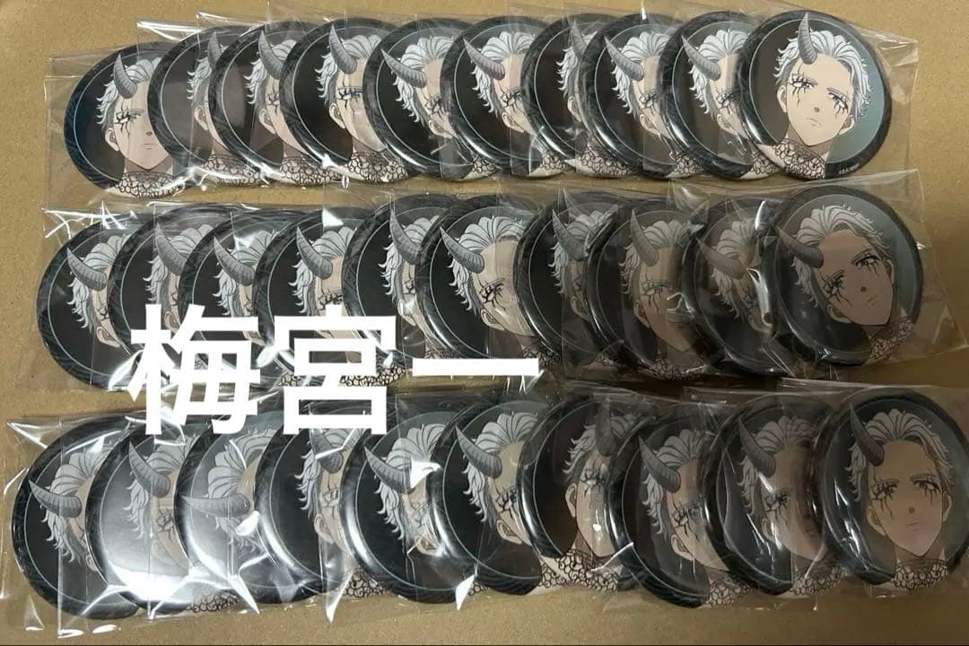 ウィンドブレイカー ウィンブレ 梅宮一 缶バッジ