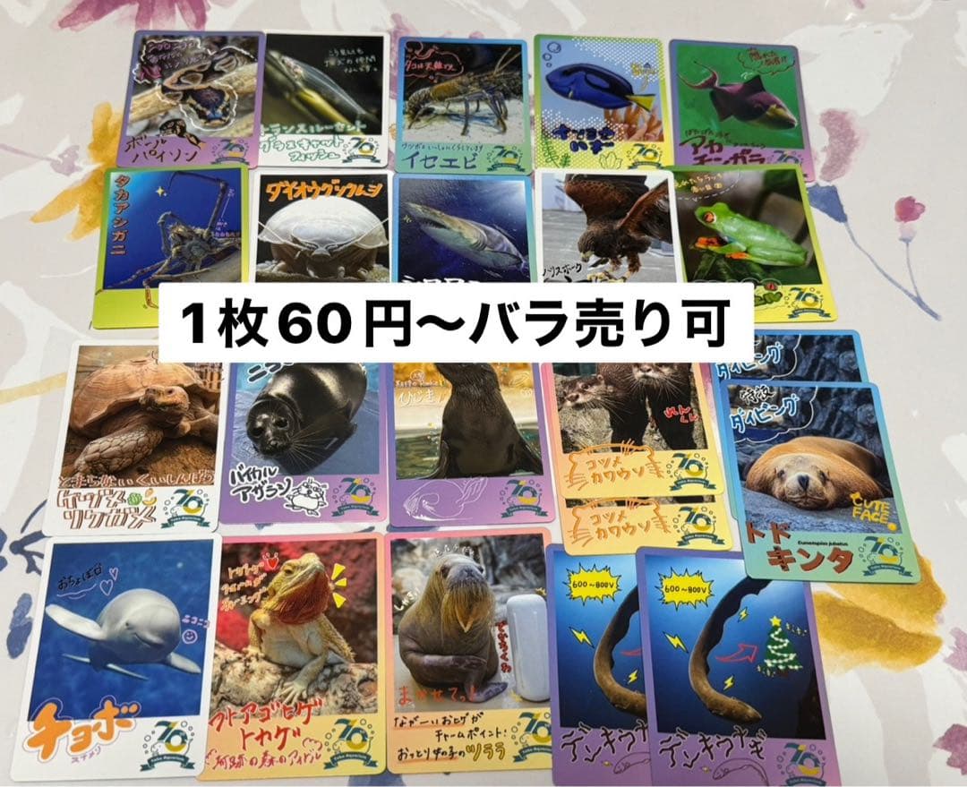 鳥羽水族館 70周年記念 コレクション　カード セット　バラ売り可 1枚60円〜