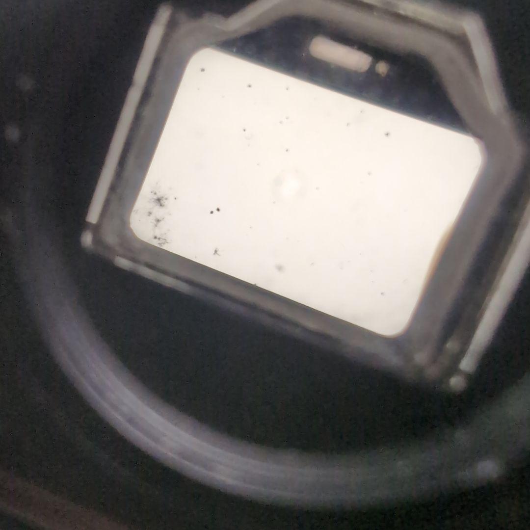 Nikon F フィルム一眼レフカメラ ボディ本体のみ