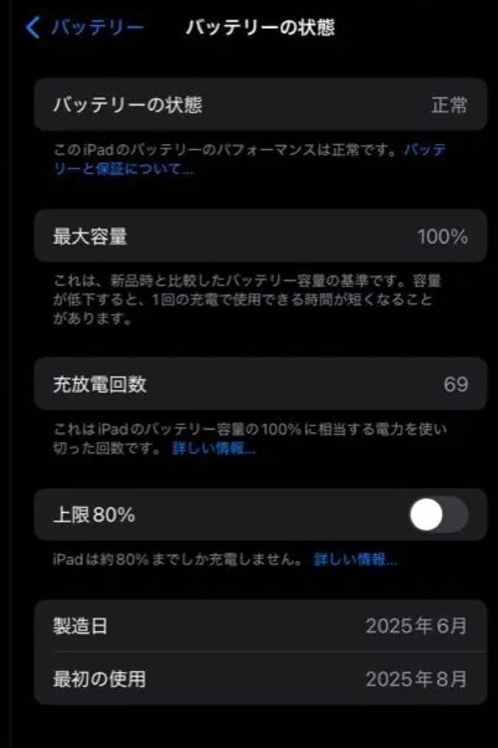 iPad mini 7 最大容量100%