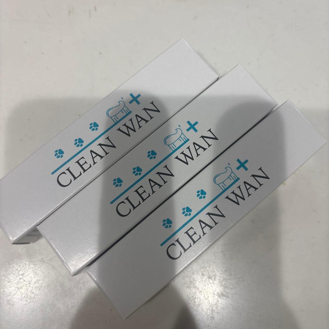 CLEAN WAN デンタルケア 歯磨きペースト 15g 3本セット