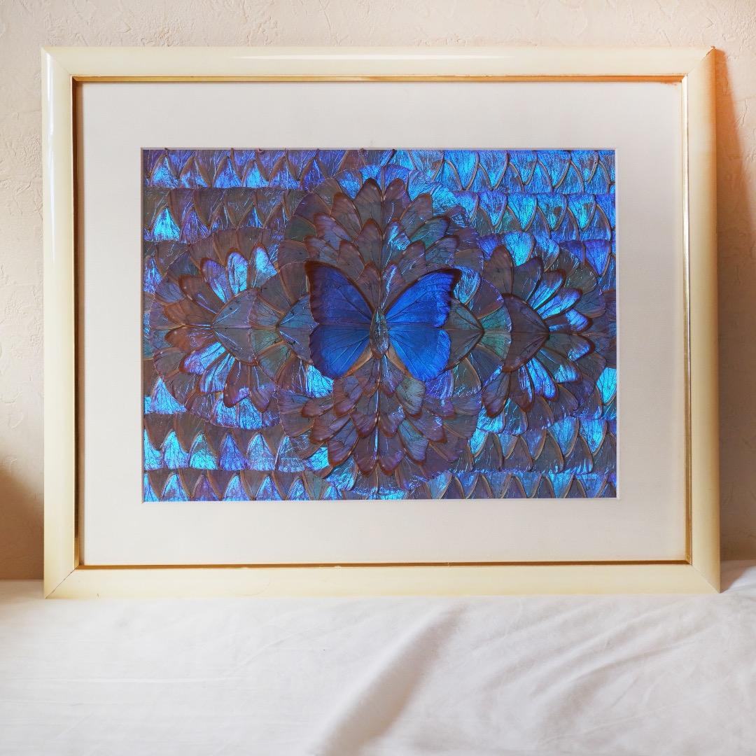 モルフォ蝶　絵画　羽絵アート　額縁