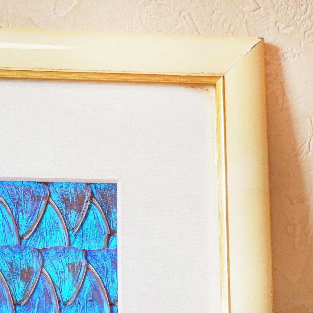 モルフォ蝶　絵画　羽絵アート　額縁