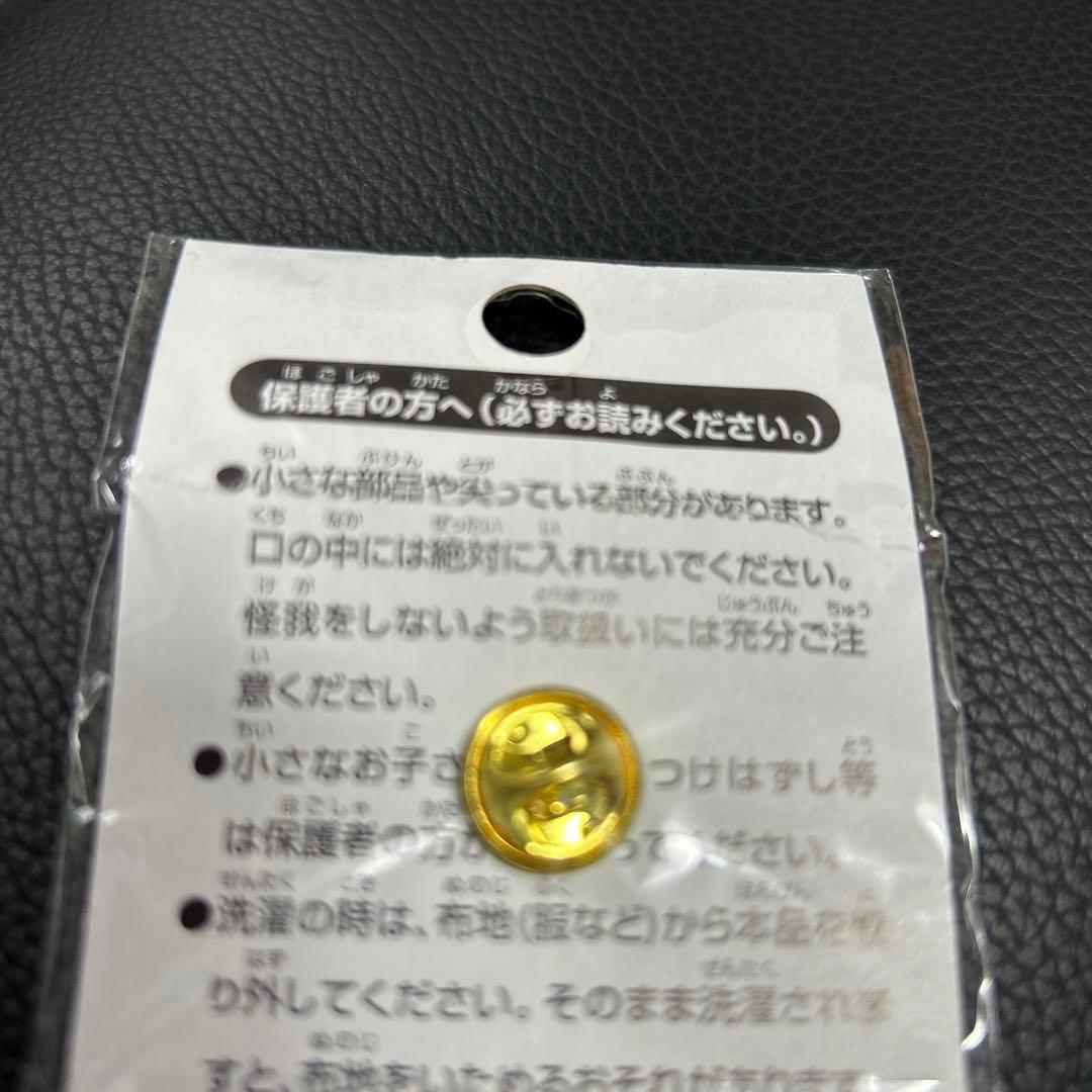 ポケモン　ピンズ　リザードン　ポケモンセンター　激レア！