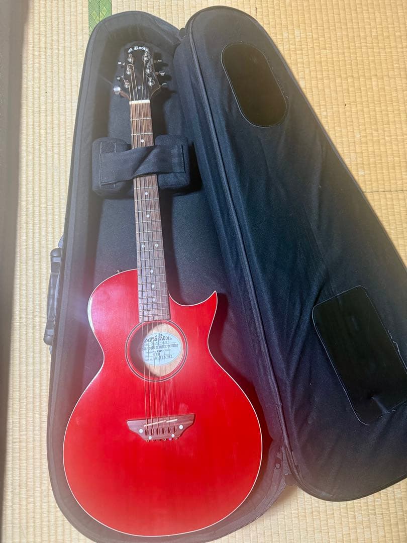 GRASS ROOTS G-AC-45 ケース付コンパクトアコースティックギター