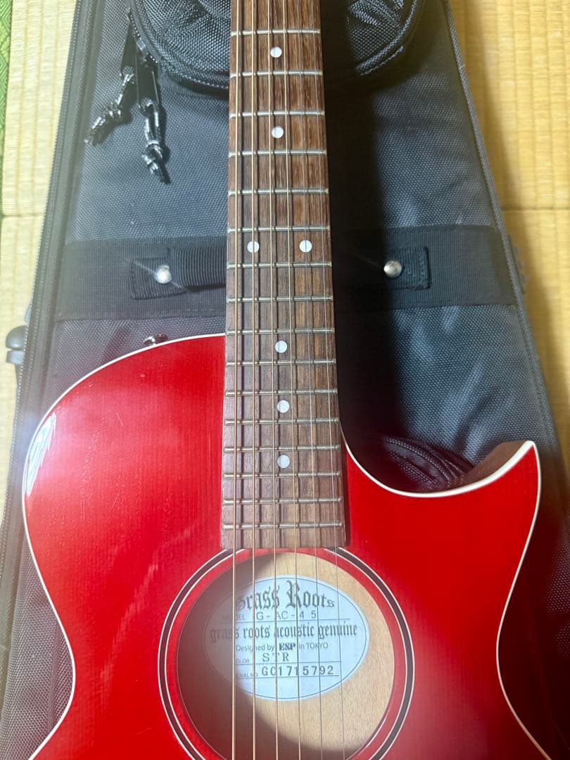 GRASS ROOTS G-AC-45 ケース付コンパクトアコースティックギター