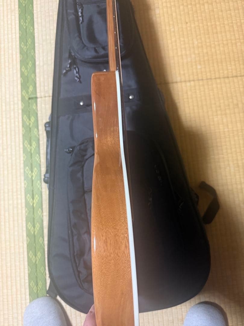 GRASS ROOTS G-AC-45 ケース付コンパクトアコースティックギター