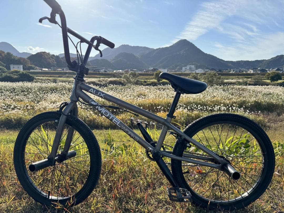 【bakabon】BMX MOTELWORKS NOR・ AUX　2台