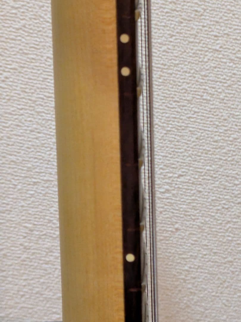 【絶品】PRS SE CE24 エレキギター ピックアップ交換