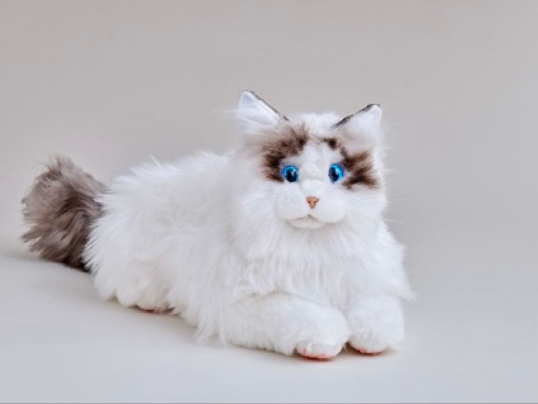 値下げしました！ネコロボット　KIMIT（キミット）追記必読⭐︎