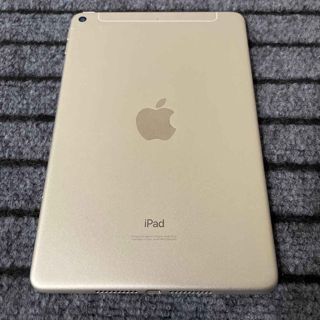 159【早い者勝ち】 iPad mini5 5世代 64GB シルバー