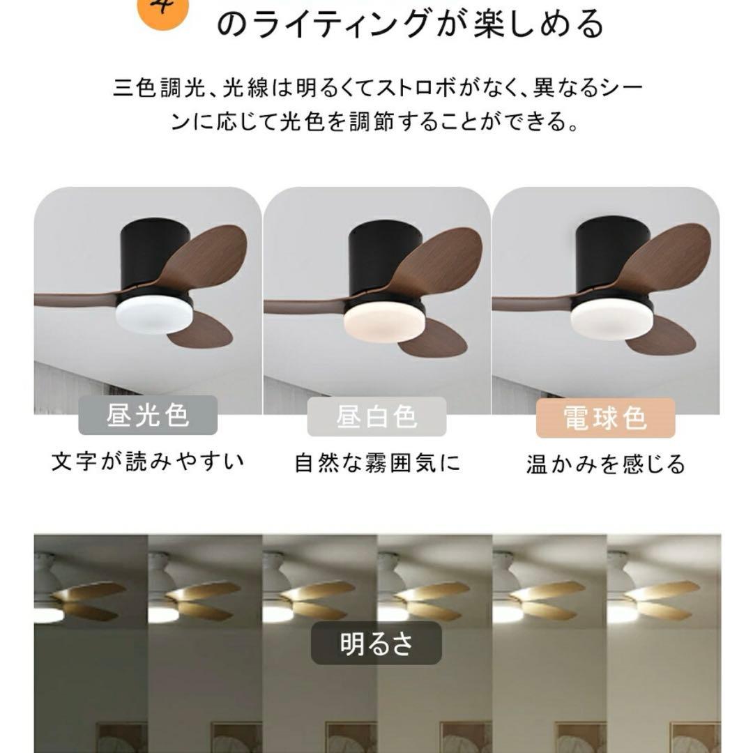 ホワイト x ラワンウッド シーリングファン