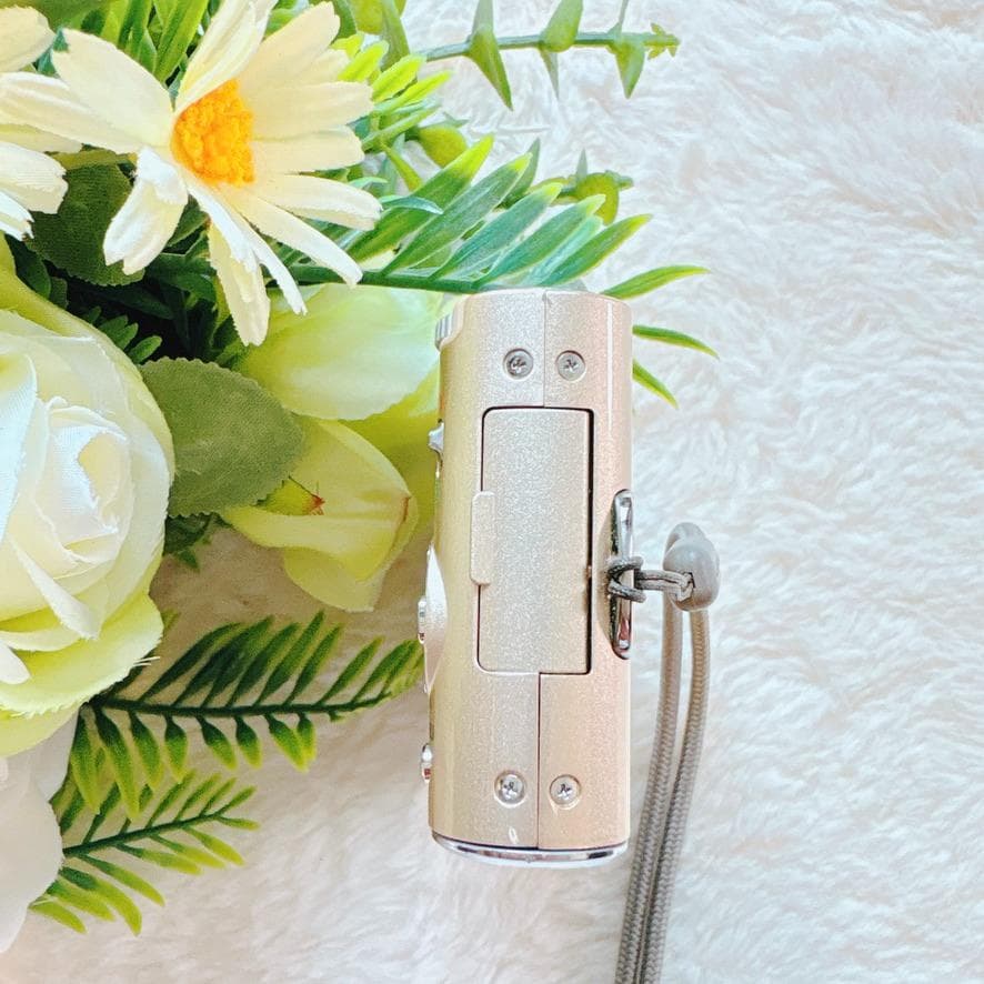 動作確認済みPanasonicパナソニックコンデジカメLUMIXDMC-FX66