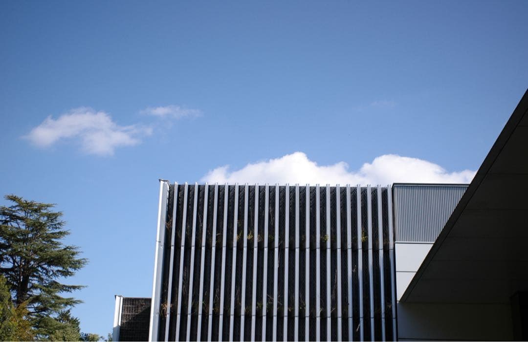 Epson R-D1S 美品　レンジファインダー　Mマウント　デジタルカメラ