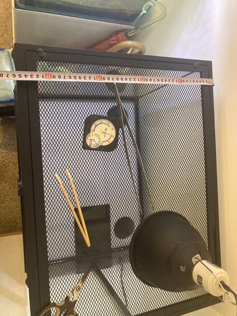 大幅値下げ！爬虫類　ケージセット　レインフォレストタンク