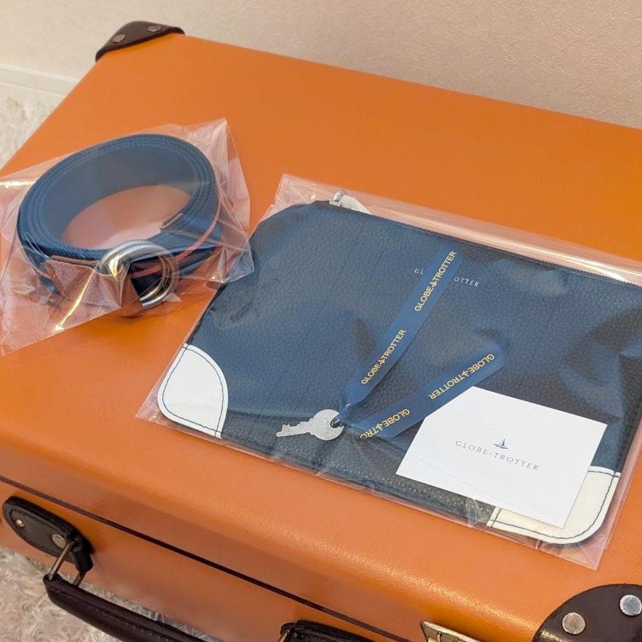 美品★グローブトロッター２輪センテナリー18インチ３０Lトロリースーツケース中古