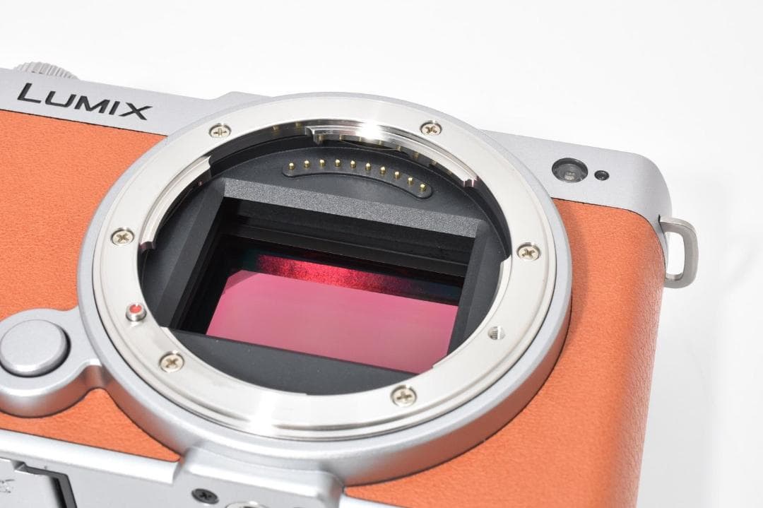 【新品級】ルミックス Lumix s9 DC-S9 キャメルオレンジ