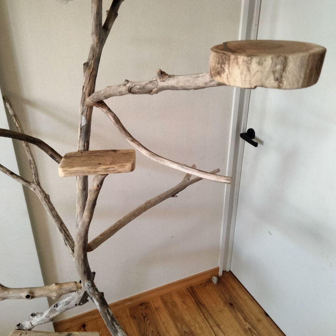 バードアスレチックジム大型 ㊷ 天然木 自然木 流木 インコ おもちゃ