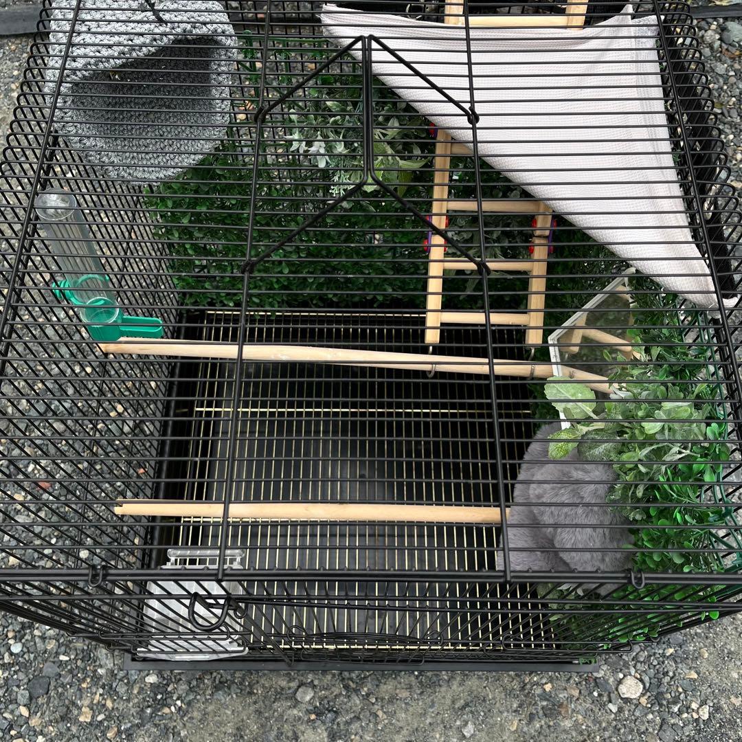 大きめの金属製鳥かご