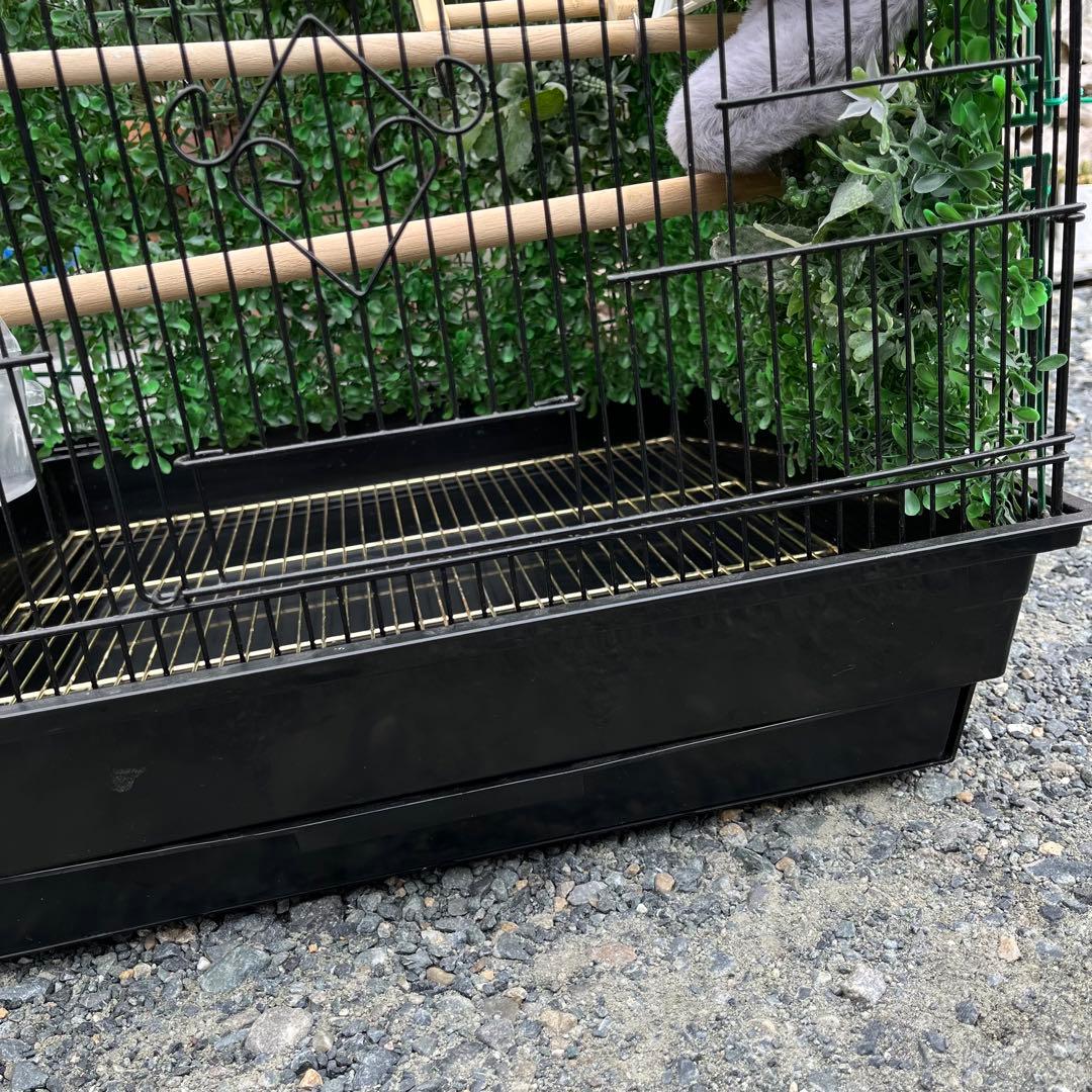 大きめの金属製鳥かご