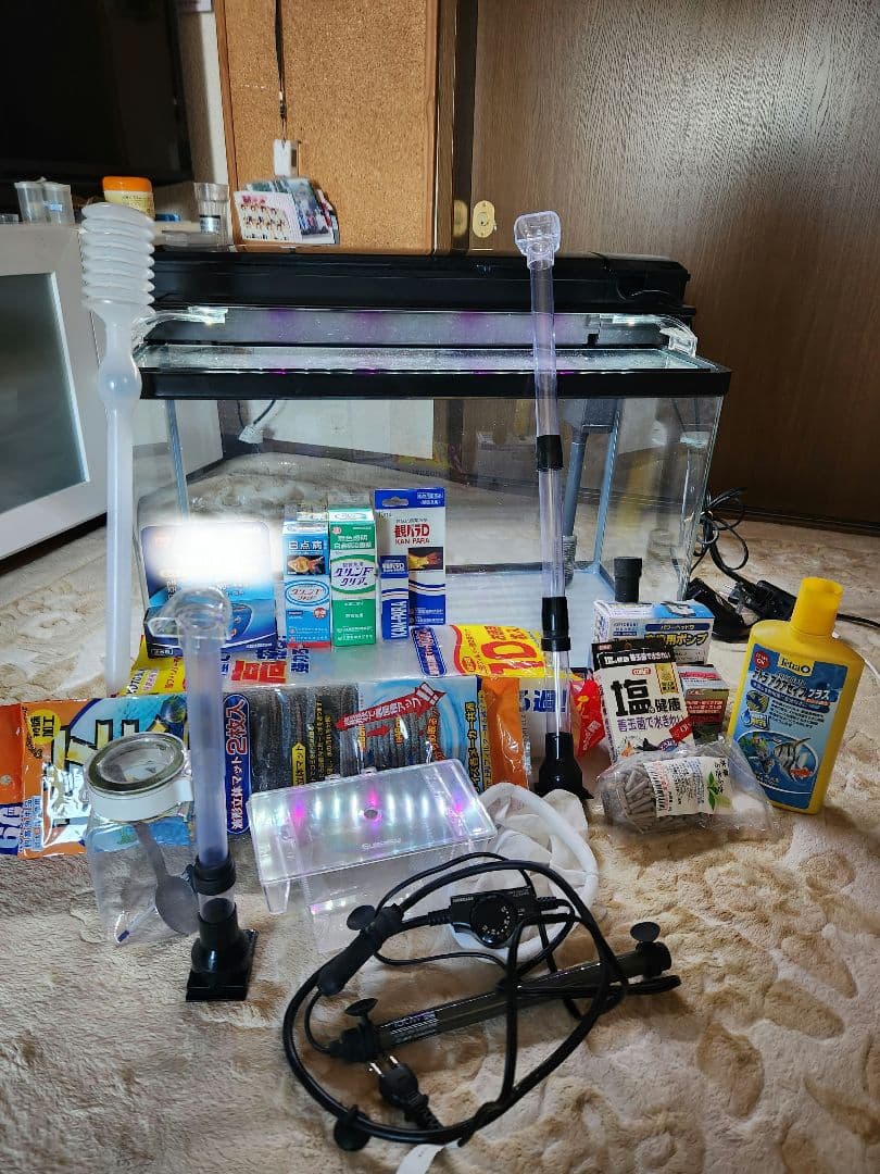 60cm 水槽 熱帯魚 フルセット