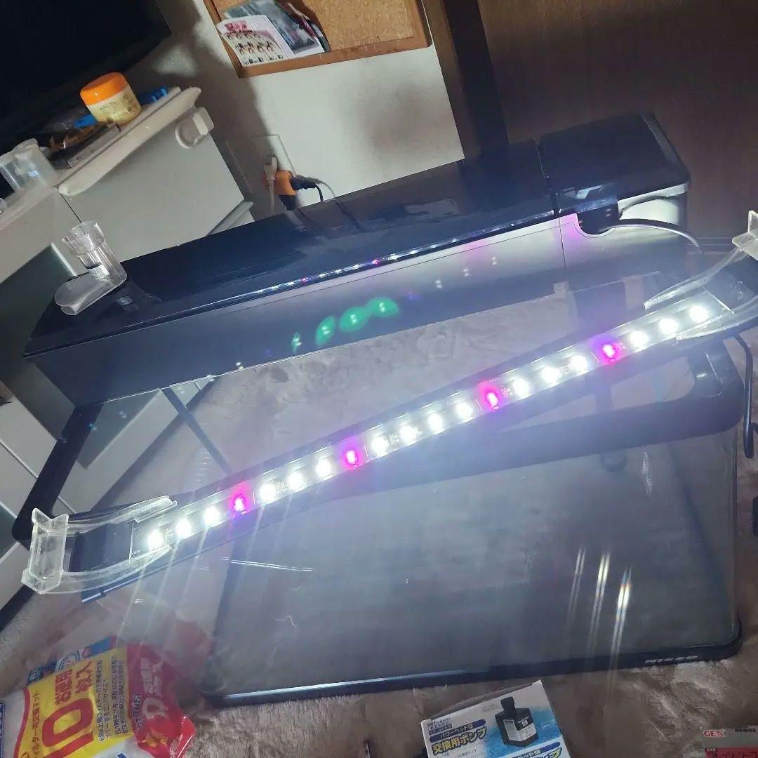 60cm 水槽 熱帯魚 フルセット