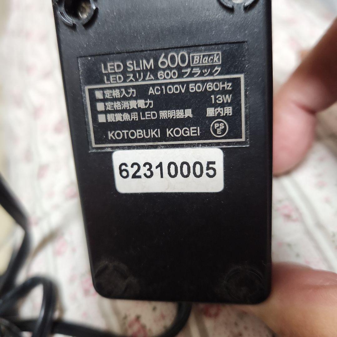 60cm 水槽 熱帯魚 フルセット