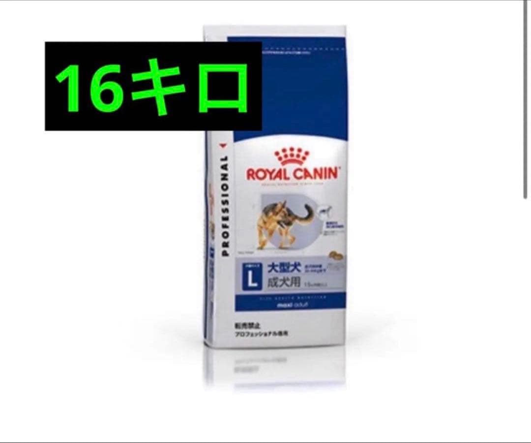 即日発送 Canin ロイヤルカナン　大型犬用16キロ　マキシアダルト