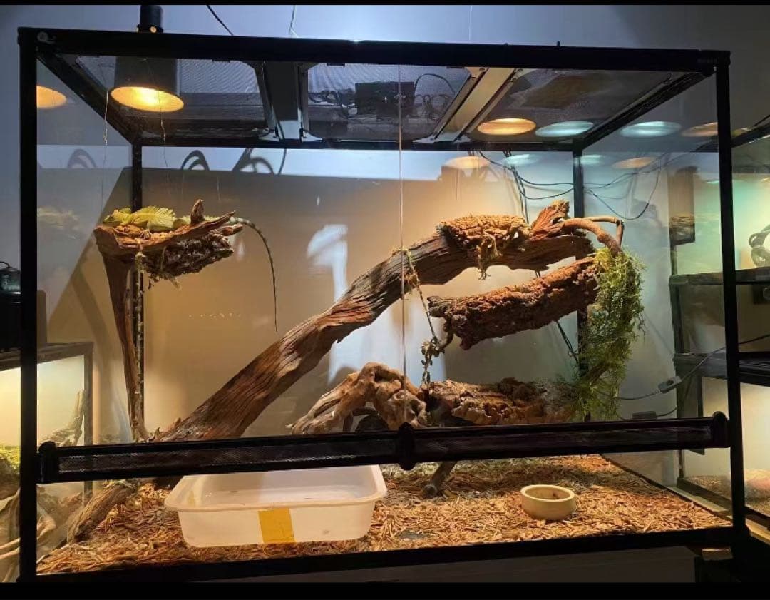 自社製組み立て式爬虫類両生類ケージガラス飼育ケージ90x45x45cm引取り可