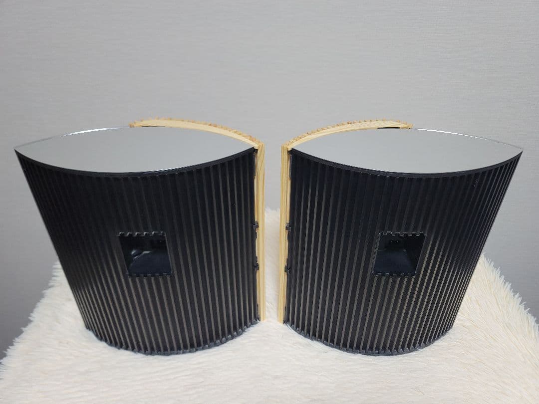 B&O BeoCenter 2, 天然木製ケース付きBeolab 4000