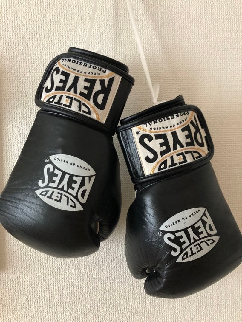 Reyes レイジェス ボクシンググローブ 8oz 黒