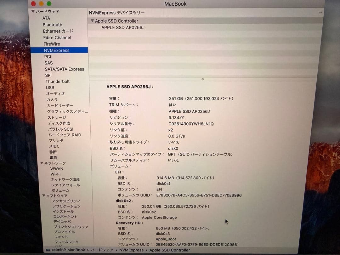 中国版　Apple MacBook本体 ローズゴールド12インチ256GB