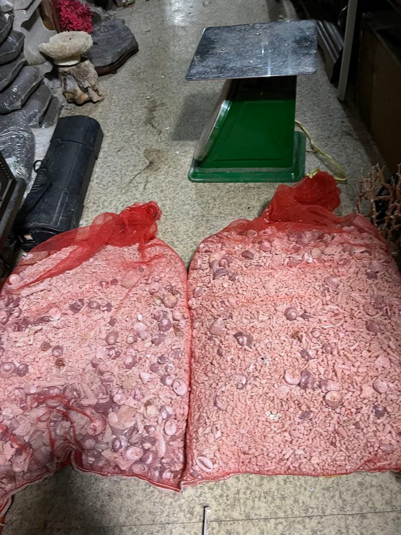 サンゴ砂、海水魚底砂、海水水槽濾過材、サンゴ米粒大、12キロサンゴ砂