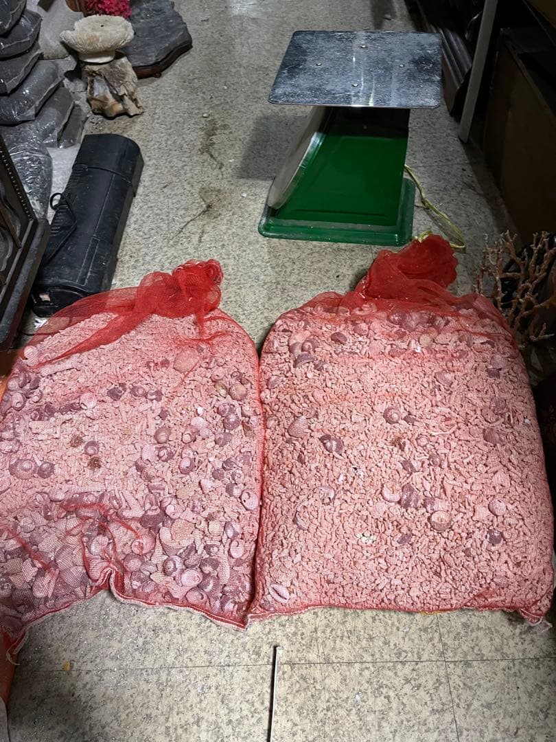 サンゴ砂、海水魚底砂、海水水槽濾過材、サンゴ米粒大、12キロサンゴ砂