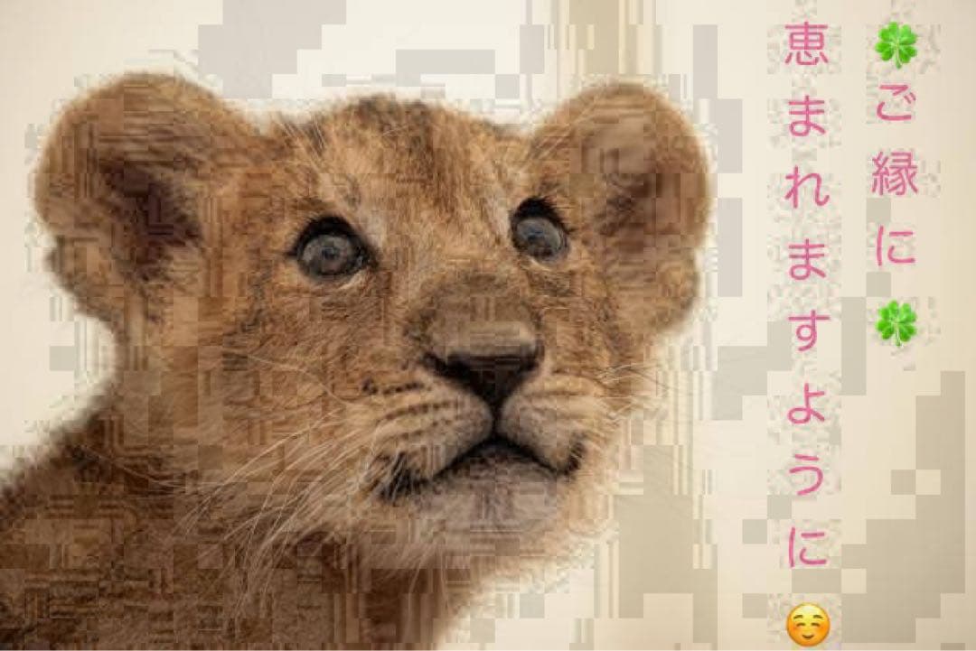 薄桜鬼 缶バッジ キーホルダー ストラップ アクセサリー