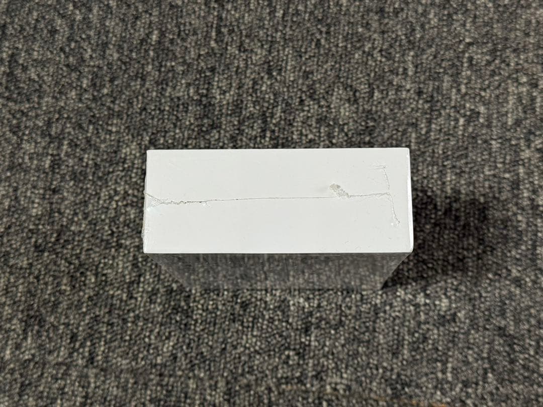 【新品】 Translator Earbuds M3 翻訳機能付きイヤフォン