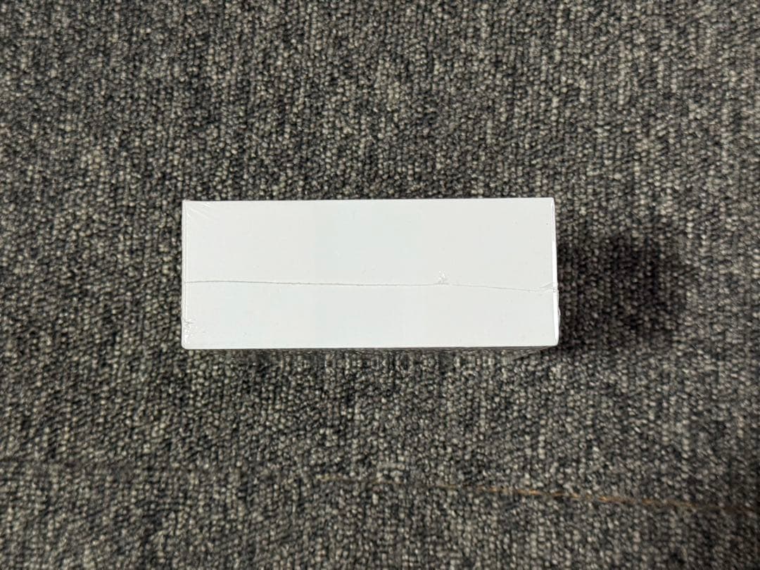 【新品】 Translator Earbuds M3 翻訳機能付きイヤフォン