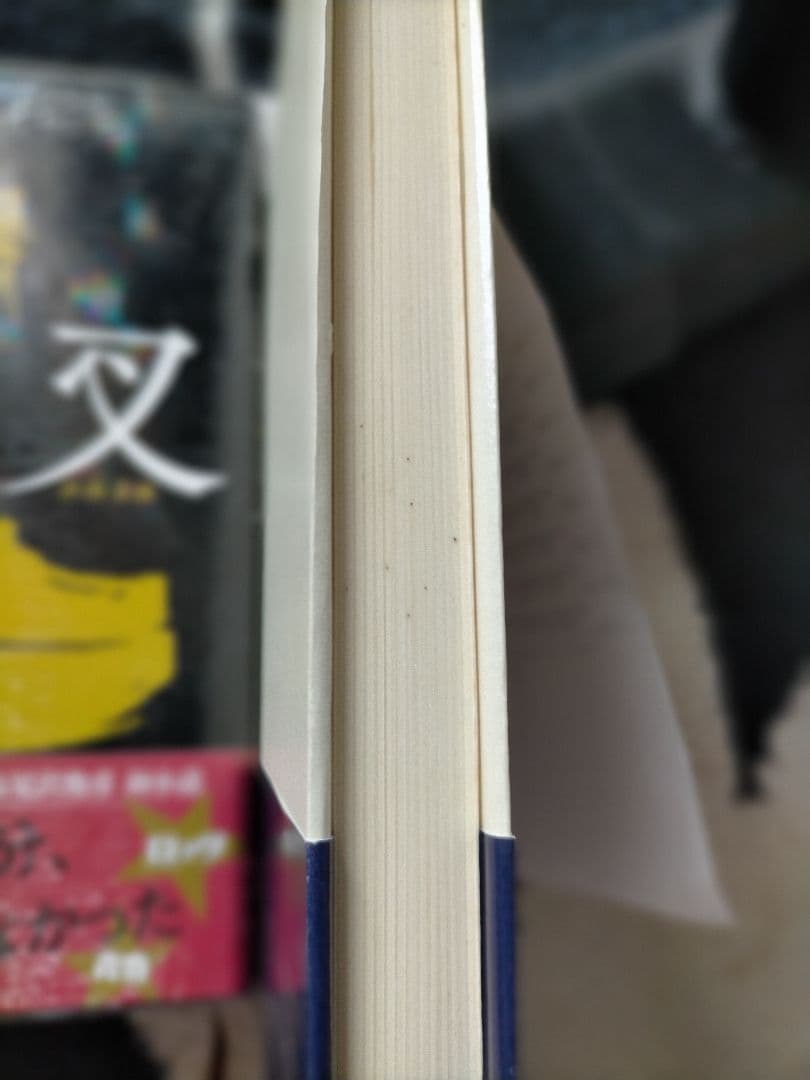 高見沢俊彦 本10冊セット THE ALFEE